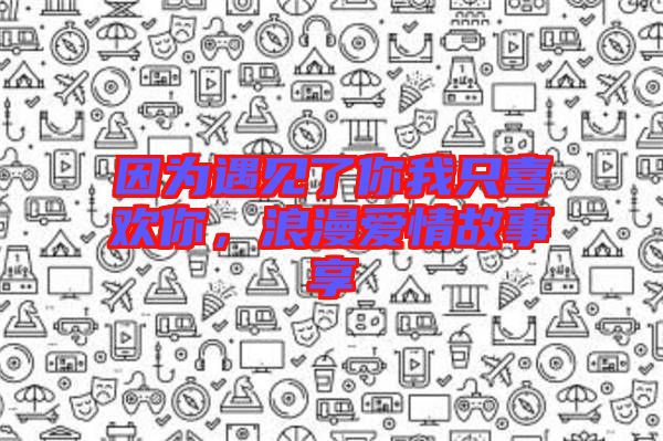 因?yàn)橛鲆娏四阄抑幌矚g你，浪漫愛情故事享