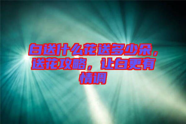 白送什么花送多少朵，送花攻略，讓白更有情調(diào)