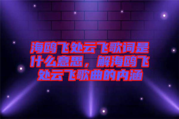 海鷗飛處云飛歌詞是什么意思，解海鷗飛處云飛歌曲的內(nèi)涵