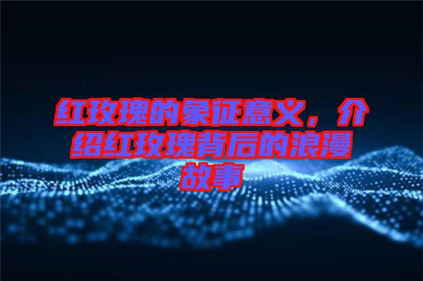 紅玫瑰的象征意義，介紹紅玫瑰背后的浪漫故事