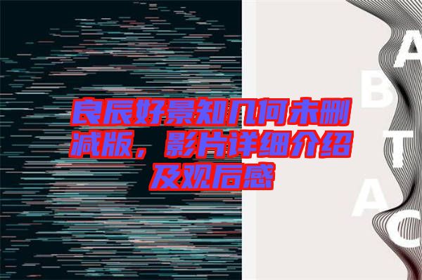 良辰好景知幾何未刪減版，影片詳細介紹及觀后感