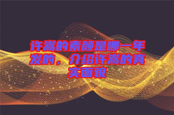 許嵩的素顏是哪一年發(fā)的，介紹許嵩的真實(shí)面貌