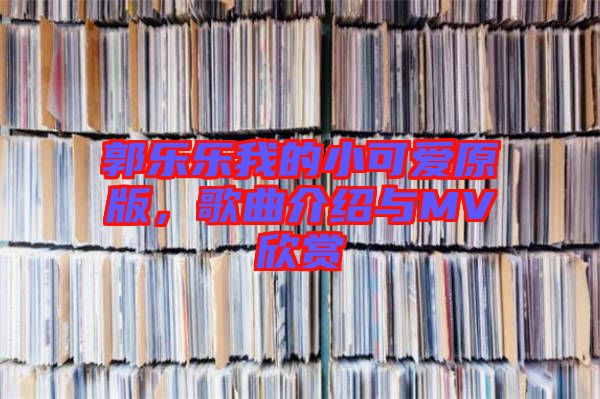 郭樂樂我的小可愛原版，歌曲介紹與MV欣賞