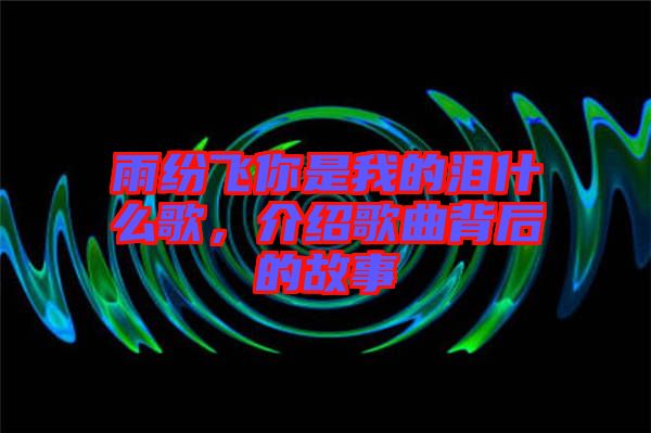 雨紛飛你是我的淚什么歌，介紹歌曲背后的故事