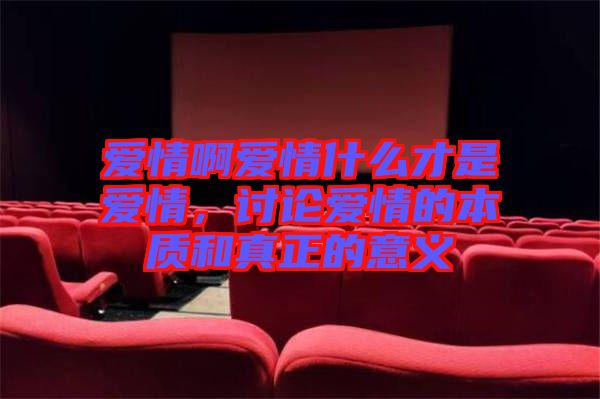 愛情啊愛情什么才是愛情，討論愛情的本質(zhì)和真正的意義