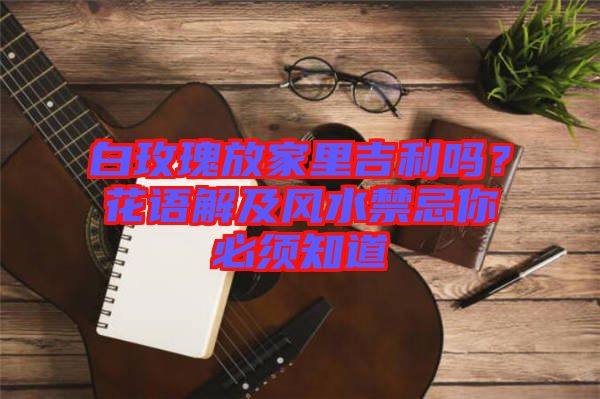 白玫瑰放家里吉利嗎？花語解及風(fēng)水禁忌你必須知道