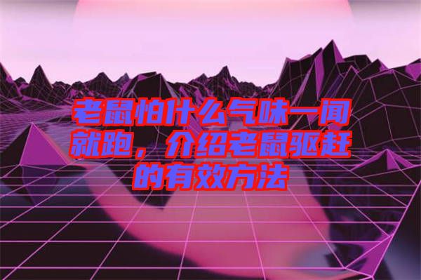 老鼠怕什么氣味一聞就跑，介紹老鼠驅(qū)趕的有效方法