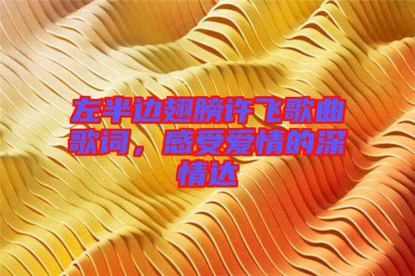 左半邊翅膀許飛歌曲歌詞，感受愛情的深情達(dá)