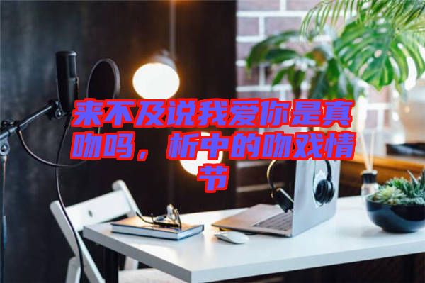 來(lái)不及說(shuō)我愛(ài)你是真吻嗎，析中的吻戲情節(jié)