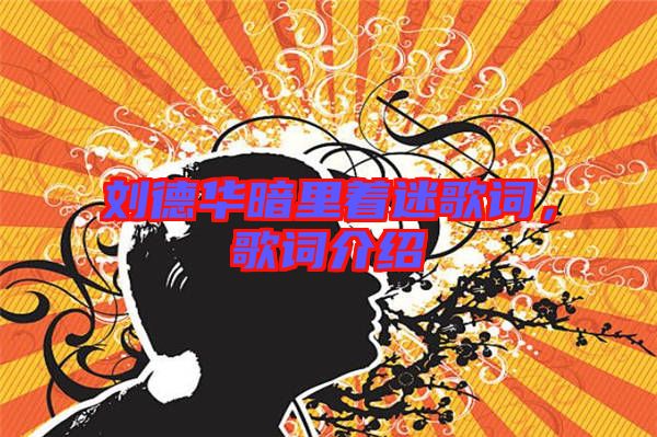 劉德華暗里著迷歌詞，歌詞介紹