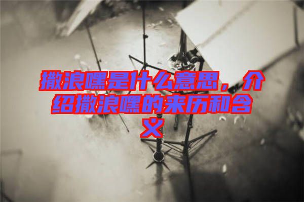撒浪嘿是什么意思，介紹撒浪嘿的來歷和含義