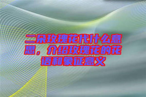 二朵玫瑰花代什么意思，介紹玫瑰花的花語(yǔ)和象征意義