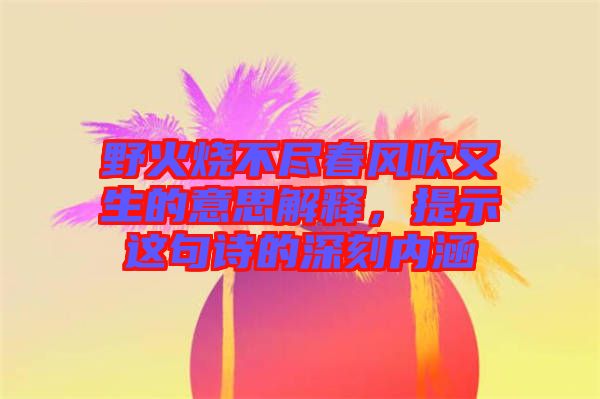 野火燒不盡春風(fēng)吹又生的意思解釋，提示這句詩的深刻內(nèi)涵