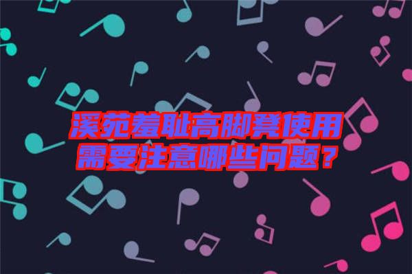溪苑羞恥高腳凳使用需要注意哪些問題？