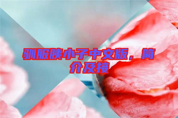馴服胰小子中文版，簡介及接