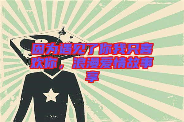 因?yàn)橛鲆娏四阄抑幌矚g你，浪漫愛情故事享