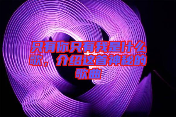 只有你只有我是什么歌，介紹這首神秘的歌曲