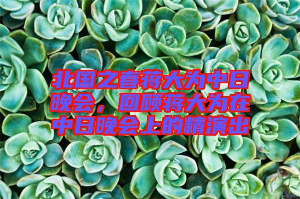 北國(guó)之春蔣大為中日晚會(huì)，回顧蔣大為在中日晚會(huì)上的精演出