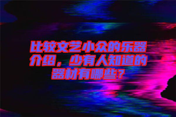 比較文藝小眾的樂(lè)器介紹，少有人知道的器材有哪些？