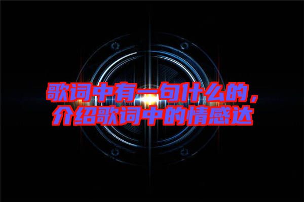 歌詞中有一句什么的，介紹歌詞中的情感達(dá)