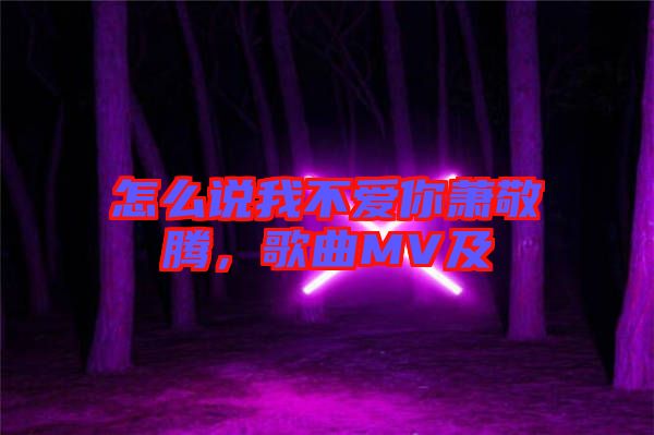 怎么說我不愛你蕭敬騰，歌曲MV及