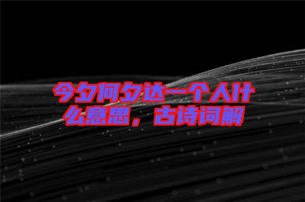 今夕何夕達(dá)一個(gè)人什么意思，古詩詞解