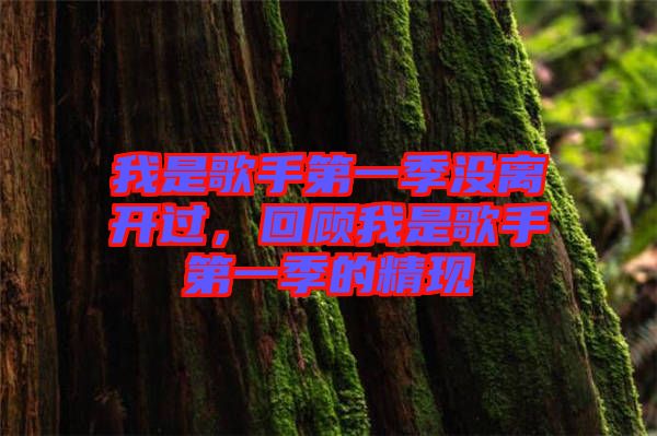 我是歌手第一季沒離開過，回顧我是歌手第一季的精現(xiàn)