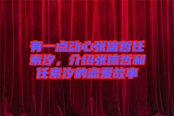 有一點(diǎn)動(dòng)心張信哲任素汐，介紹張信哲和任素汐的戀愛故事