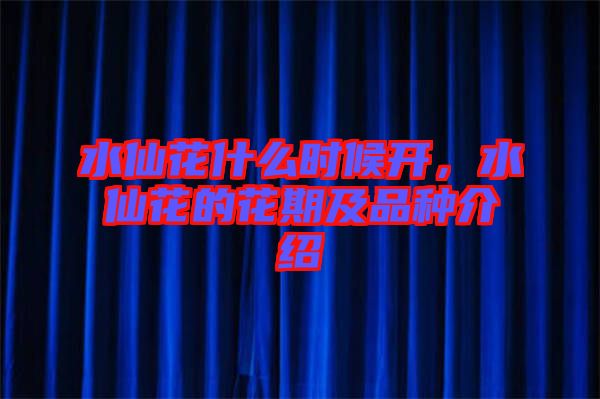 水仙花什么時候開，水仙花的花期及品種介紹