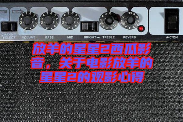 放羊的星星2西瓜影音，關于電影放羊的星星2的觀影心得