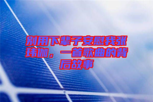 別用下輩子安慰我張瑋伽，一首歌曲的背后故事