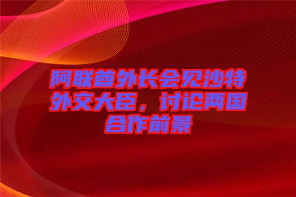 阿聯(lián)酋外長(zhǎng)會(huì)見(jiàn)沙特外交大臣，討論兩國(guó)合作前景