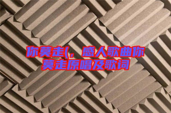 你莫走(，感人歌曲你莫走原唱及歌詞