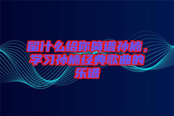 留什么給你簡譜孫楠，學(xué)習(xí)孫楠經(jīng)典歌曲的樂譜