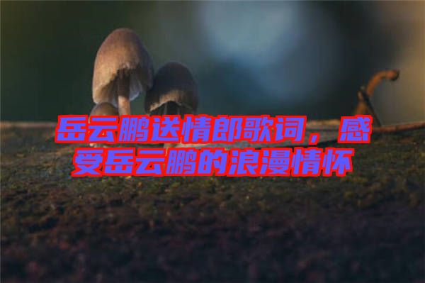 岳云鵬送情郎歌詞，感受岳云鵬的浪漫情懷
