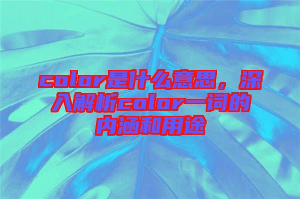 color是什么意思，深入解析color一詞的內涵和用途