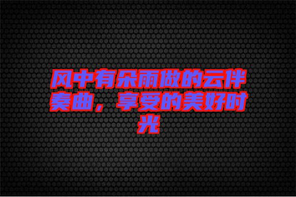 風(fēng)中有朵雨做的云伴奏曲，享受的美好時(shí)光