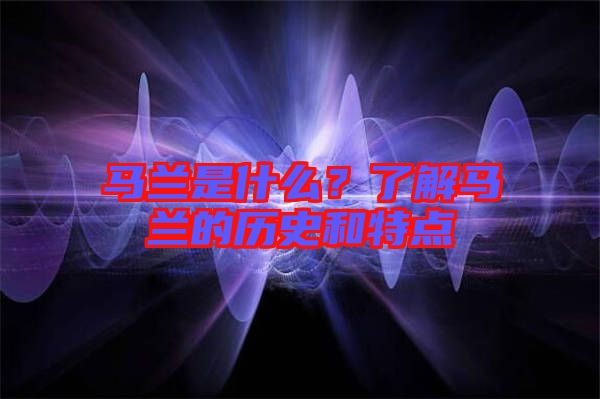 馬蘭是什么？了解馬蘭的歷史和特點