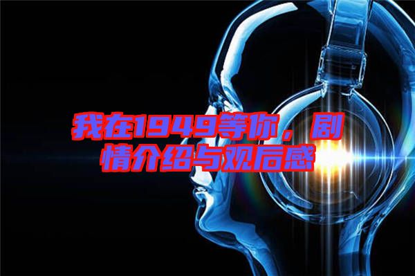 我在1949等你，劇情介紹與觀后感