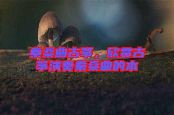 秦桑曲古箏，欣賞古箏演奏秦桑曲的本