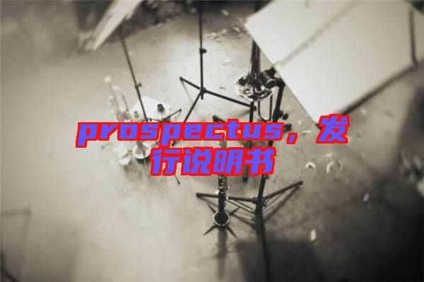prospectus，發(fā)行說明書