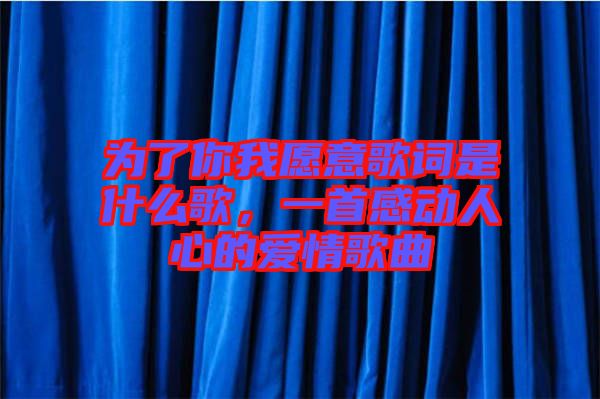 為了你我愿意歌詞是什么歌，一首感動人心的愛情歌曲