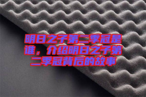 明日之子第二季冠是誰，介紹明日之子第二季冠背后的故事