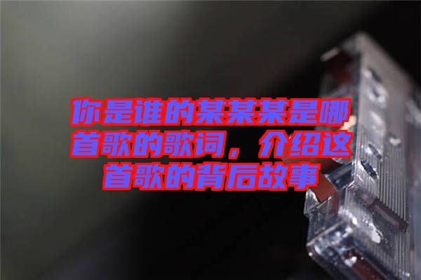 你是誰(shuí)的某某某是哪首歌的歌詞，介紹這首歌的背后故事