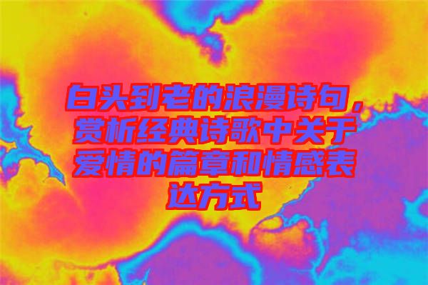 白頭到老的浪漫詩句，賞析經(jīng)典詩歌中關(guān)于愛情的篇章和情感表達(dá)方式