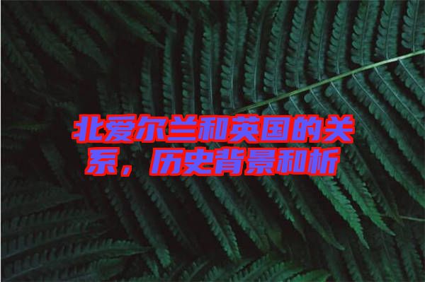 北愛(ài)爾蘭和英國(guó)的關(guān)系，歷史背景和析