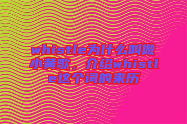 whistle為什么叫做小黃歌，介紹whistle這個詞的來歷