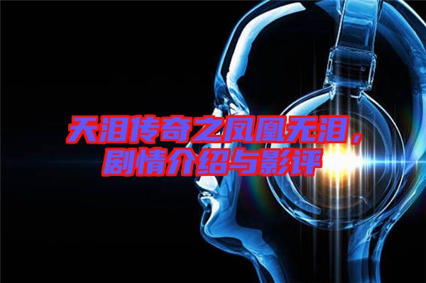 天淚傳奇之鳳凰無淚，劇情介紹與影評(píng)