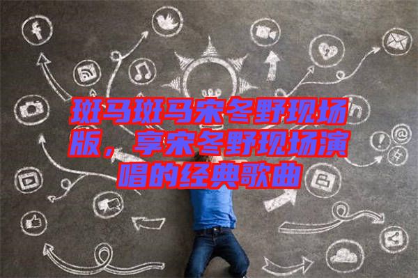 斑馬斑馬宋冬野現(xiàn)場(chǎng)版，享宋冬野現(xiàn)場(chǎng)演唱的經(jīng)典歌曲