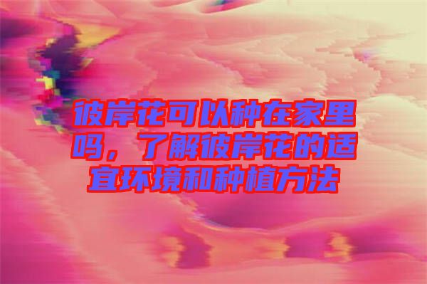 彼岸花可以種在家里嗎，了解彼岸花的適宜環(huán)境和種植方法